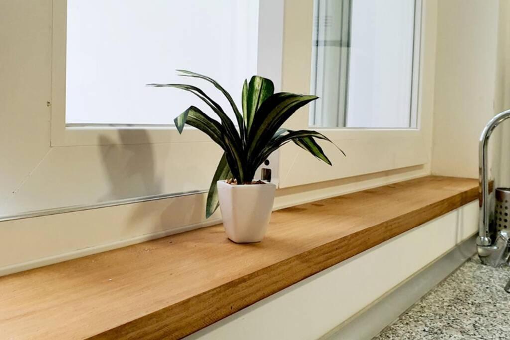 Apartamento Interior En El Absoluto Centro Ba Algeciras Ngoại thất bức ảnh